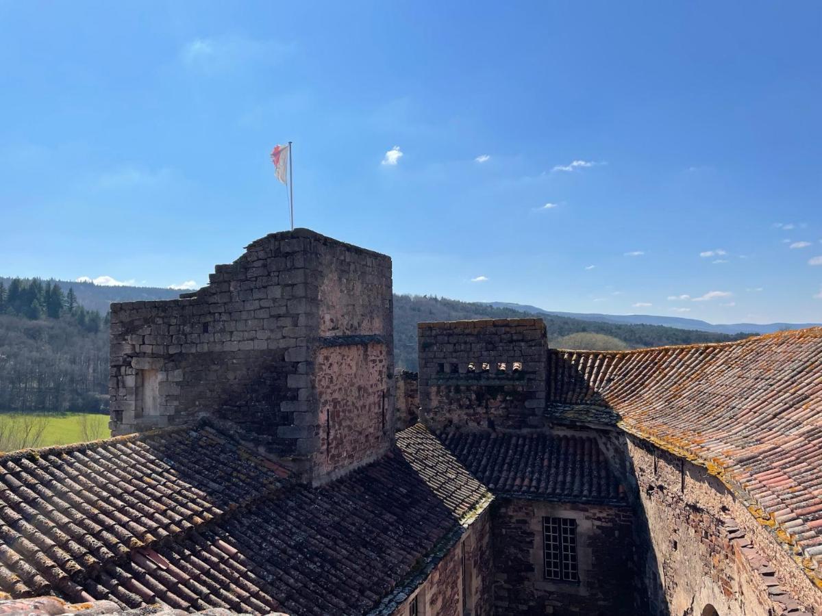Chateau De Latour Sur Sorgue Marnhagues-et-Latour المظهر الخارجي الصورة