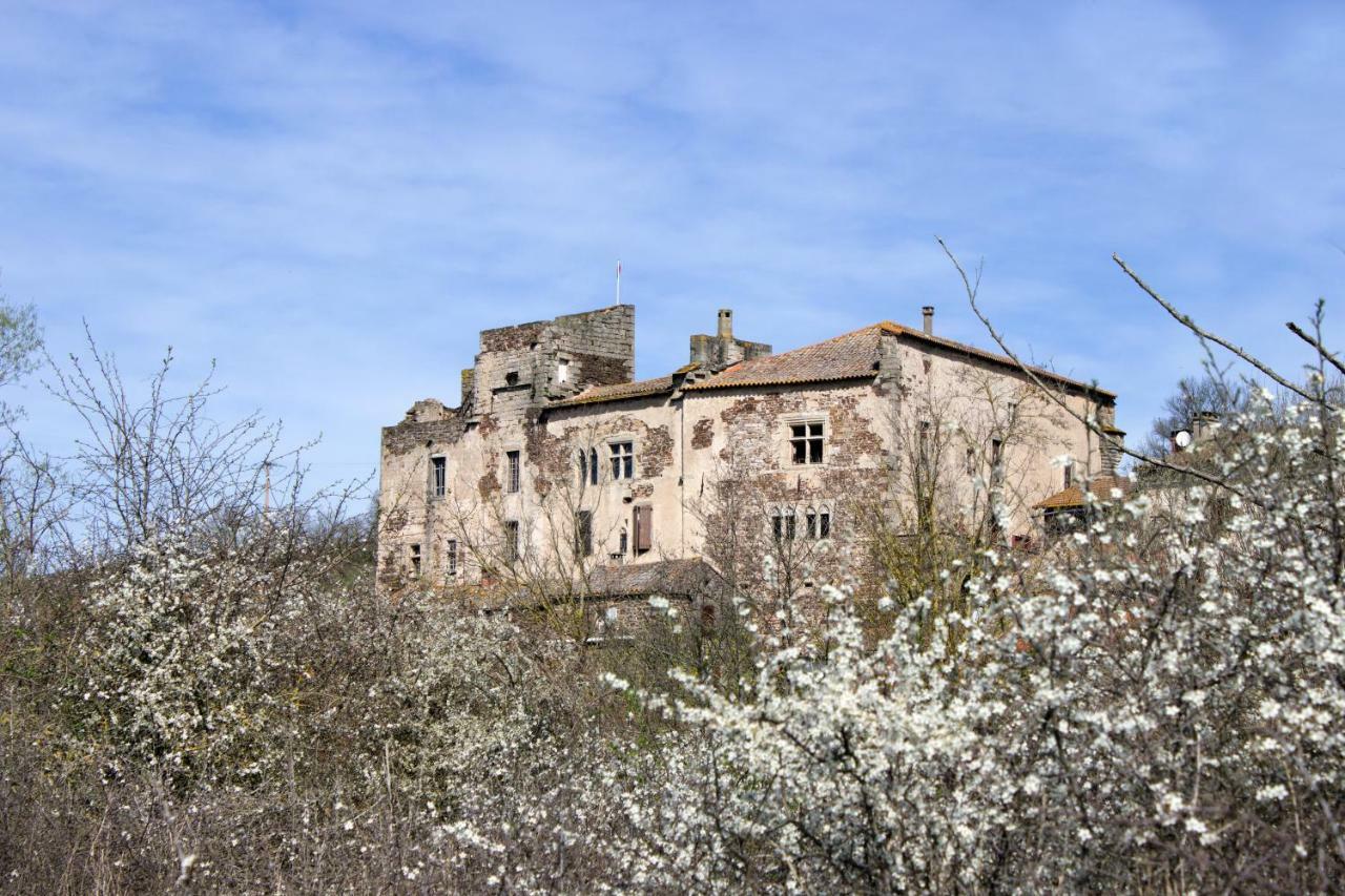 Chateau De Latour Sur Sorgue Marnhagues-et-Latour المظهر الخارجي الصورة